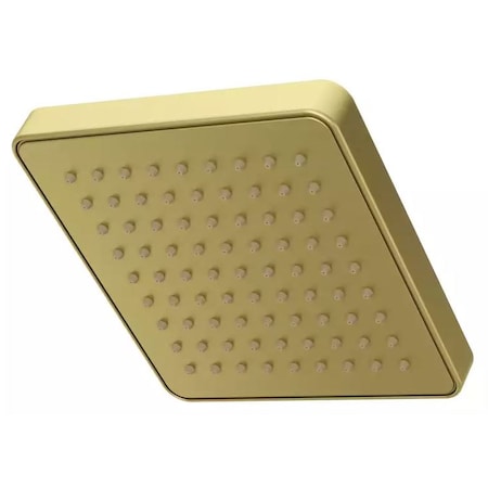 Pfister Pfister Raincan Showerhead 973-228BG